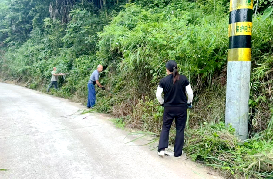 西安镇：砍青清杂焕新貌 护航民生暖民心
