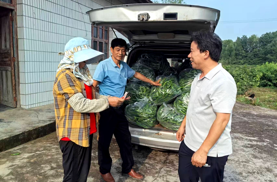 马鬃岭镇：为民解忧办实事   助农销椒促增收