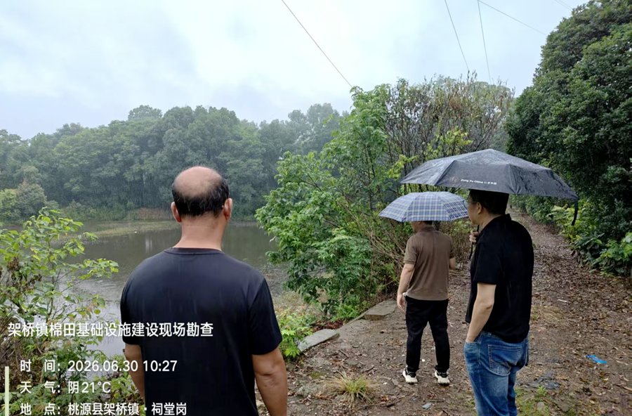 架桥镇：踏勘摸底精准施策 夯实棉田增收根基