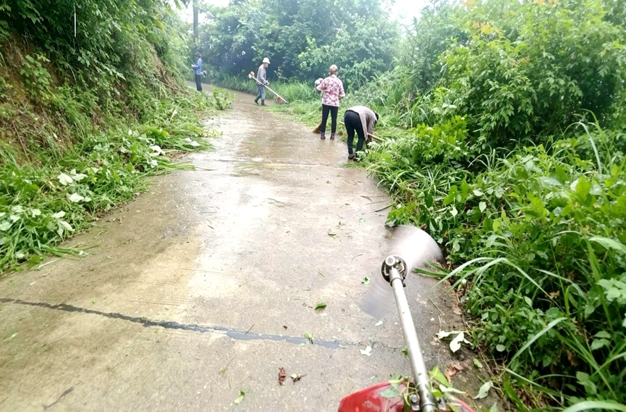 西安镇：清障除杂消盲区 修好坦途护民安
