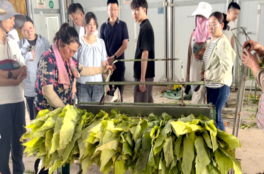 讲堂搬到田垄上 本领练在烤房旁——盘塘镇“夯基固本”行动侧记