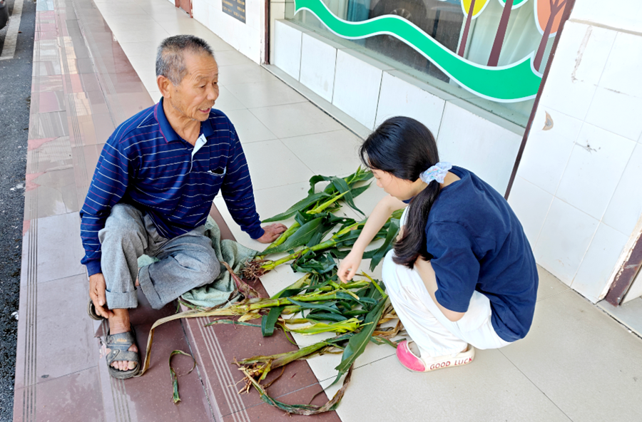 马鬃岭镇：心系农户急难事   农技上门护粮丰