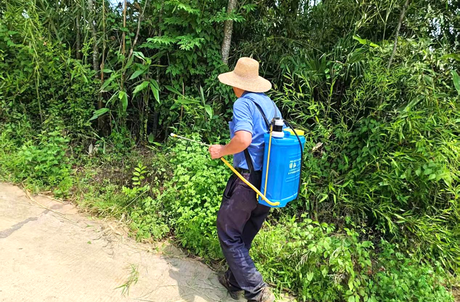 双溪口镇：砍青除杂、清障净路，给村道理个“清爽发型”