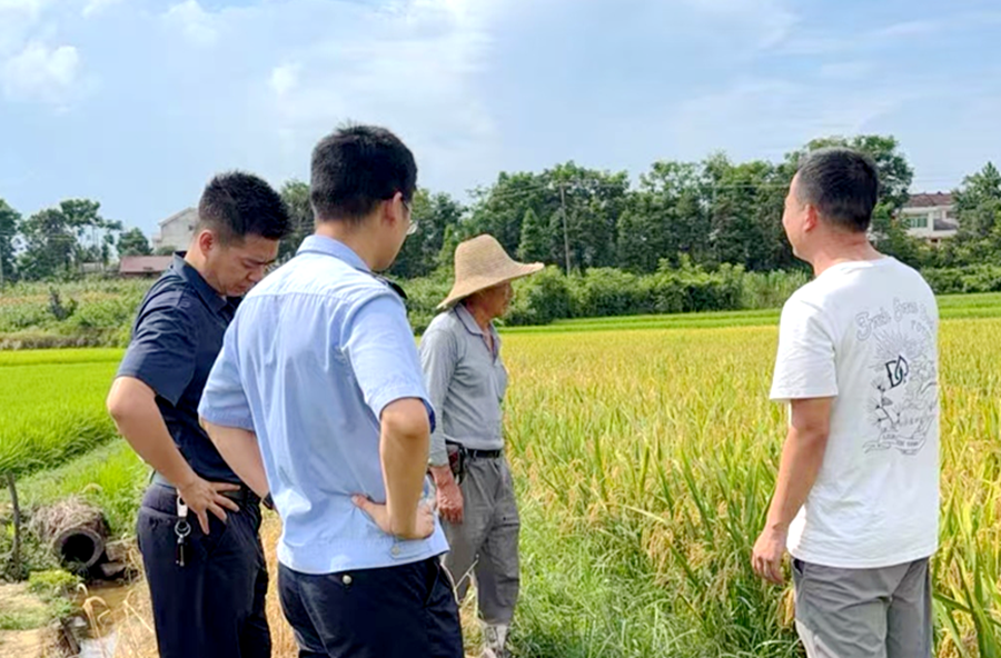 架桥镇：排查化解抓源头 凝心聚力护平安