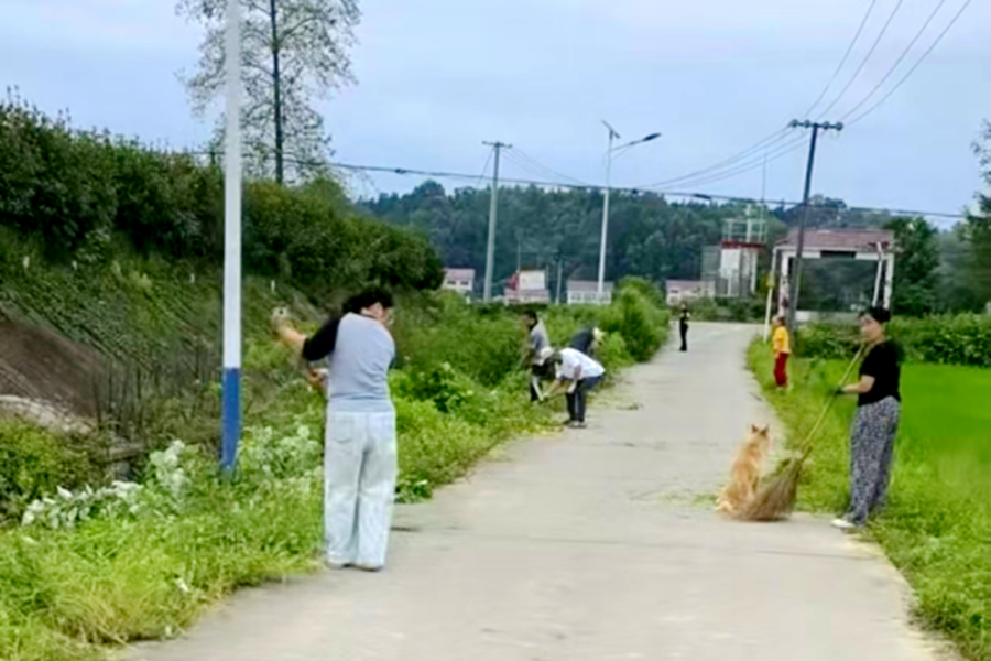 晨曦映初心 实干靓家园！桃花源镇虎形村村民自发整治人居环境暖人心