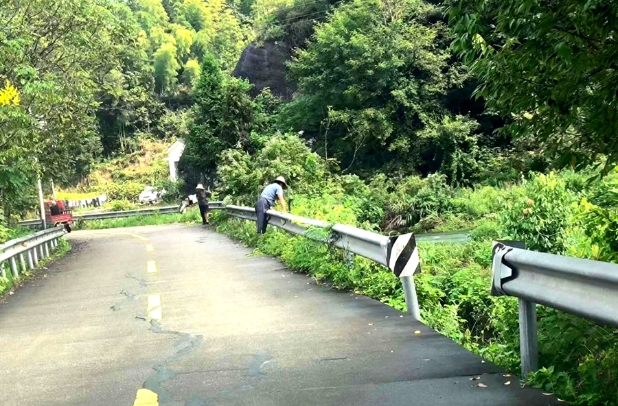 茶庵铺镇：道路“砍青”护畅通 路净景美焕新颜