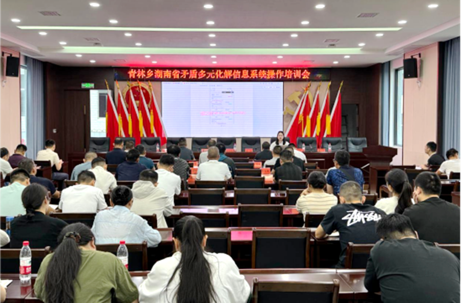青林乡开展“湘矛调”系统操作  培训  赋能基层矛盾高效化解