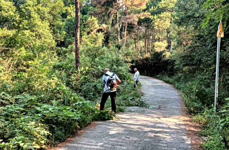 马鬃岭镇：公益小岗位   振兴大作为