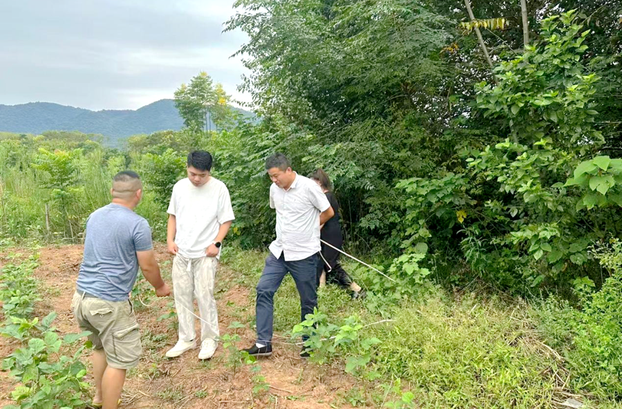 黄石镇：综治中心织密基层矛盾化解“一张网”