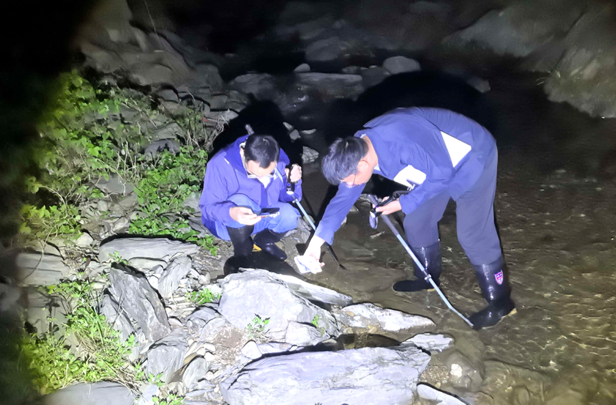 乌云界保护区完成沙坪片区两栖及爬行动物专项调查