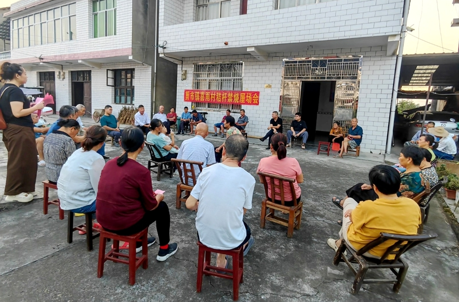剪市镇：手电照田垄 昼夜发力抓实秸秆禁限烧