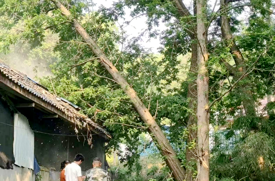 暖心除隐患 帮扶暖民心｜浔阳街道二里岗社区切实为失独家庭排忧解难
