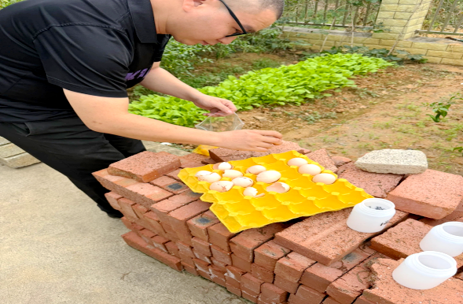 架桥镇：严把蛋品抽检关 守好群众菜篮子