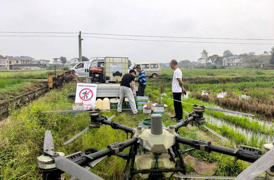 浔阳街道：让秋粮在逆境里“逆袭”，为丰收“加一道保险”
