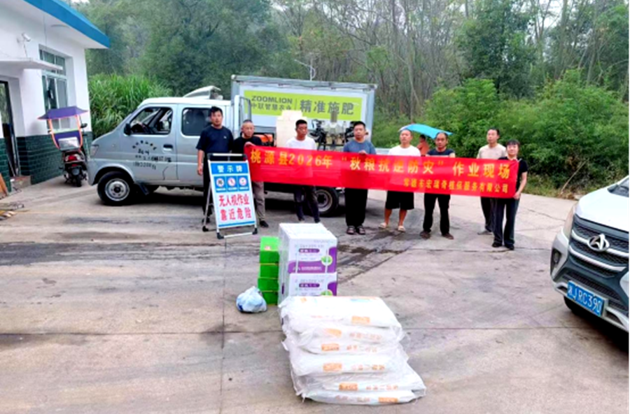 架桥镇：无人机开展秋粮抗逆防灾作业，全力守护粮食丰收