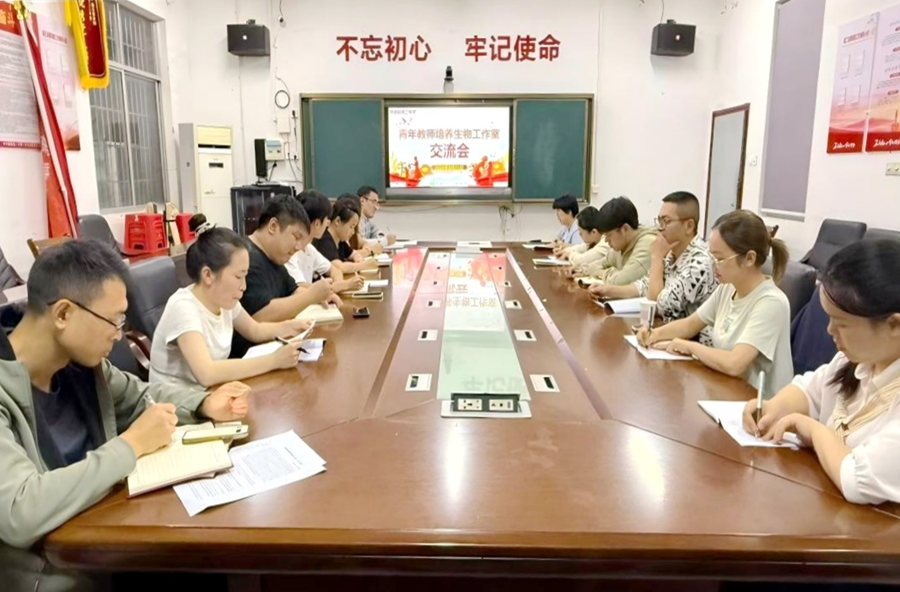 桃源二中：抓实专题教研，助力青年教师专业提升