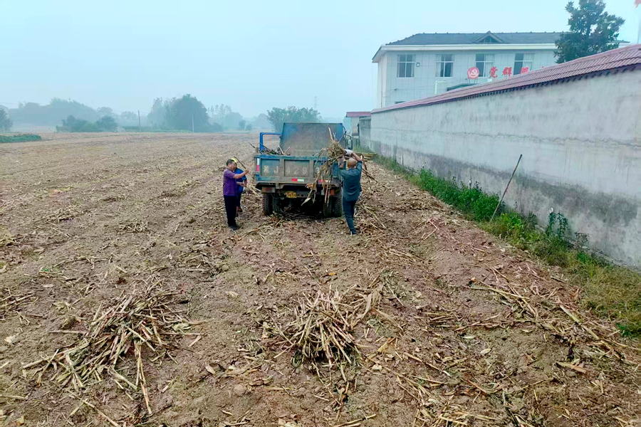 漳江街道：“一地一策”巧治秸秆  变废为宝护好蓝天